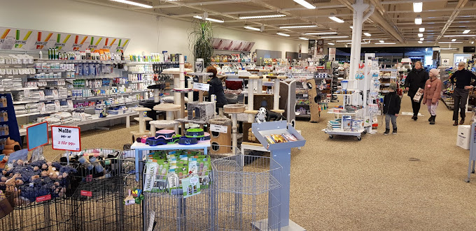shop-2.jpg