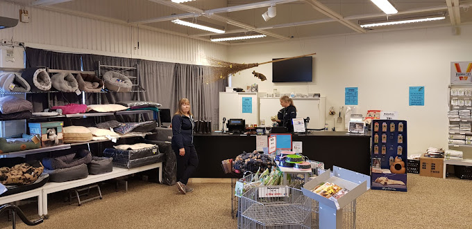 shop-3.jpg