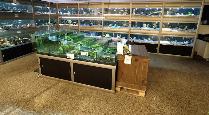shop-4.jpg